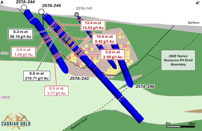 Longitudinal drill section at the Taurus deposit showing high-grade gold intercepts, vein geometry, and proximity to the 2025 resource pit shell