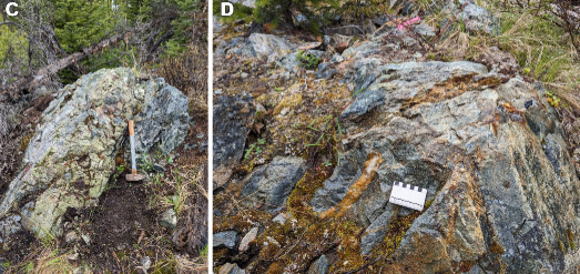 Field samples and mineralized veins from Kolos copper gold exploration site