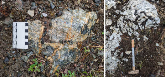 Gold-copper mineralized outcrop with quartz veining and oxidation staining at Kolos Project Sonic Zone