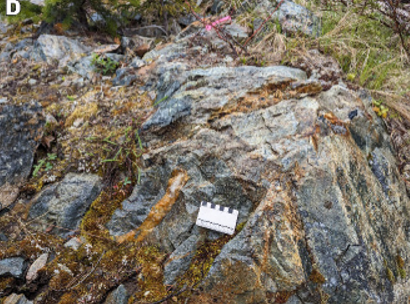 Altered bedrock exposure showing structural veining and copper mineralization at Torr Metals Kolos property
