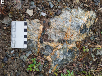 Close-up of mineralized rock sample with iron oxide staining indicating porphyry copper-gold system